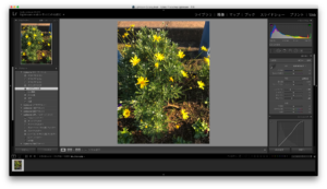 Lightroom CC現像画面説明