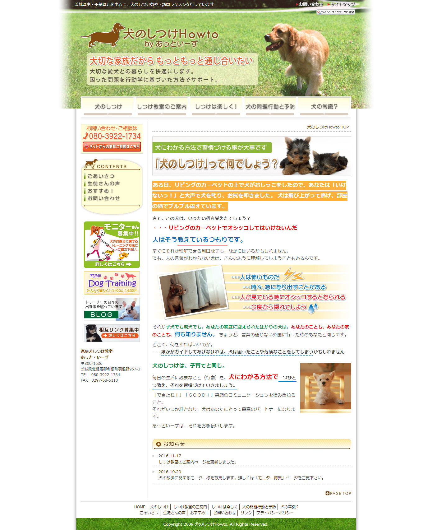 茨城県・千葉県の犬のしつけ教室
