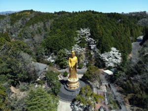 大観音寺上空をドローンで撮影した静止画像