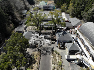 大観音寺上空をドローンで撮影した静止画像