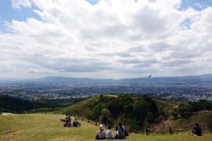 若草山からの眺め