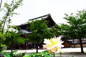 三重県津市 専修寺