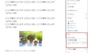 Gutenberg（グーテンベルク）タグの設定